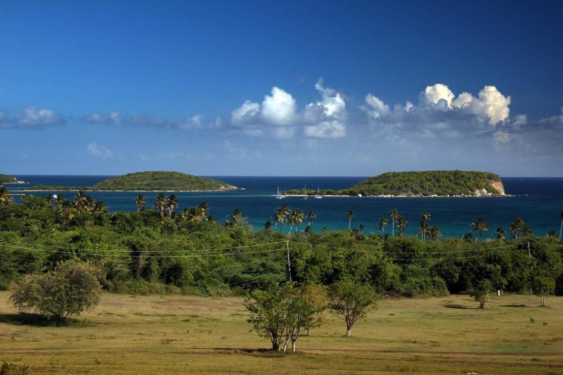 Hacienda Tamarindo Hotel Vieques Exterior foto